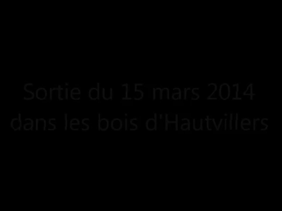 vtt 15.03.2014