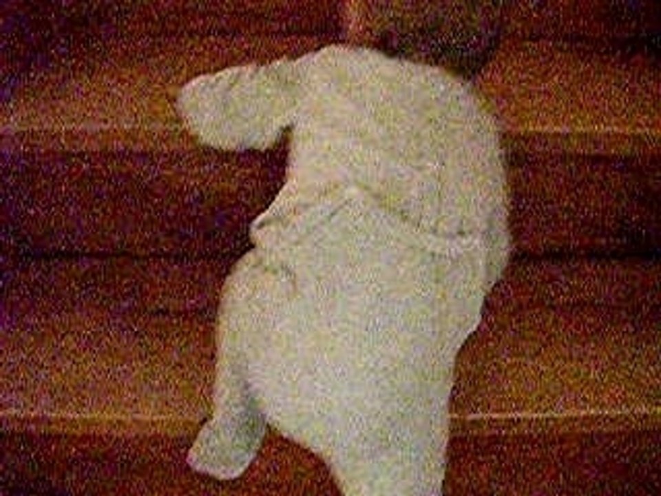 2006.12.17 escalier
