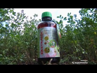 Primena Ekstrasola u lucerki_ 343 _ 12.04.2014.