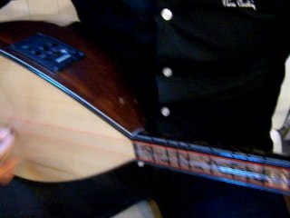 kısa sap sedefli fıshman ardıç