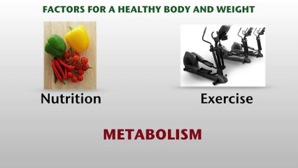 Repairing Metabolic Damage Video 1 of 3