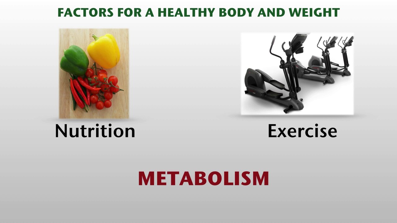Repairing Metabolic Damage Video 1 of 3