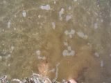 Mes pieds dans l'eau