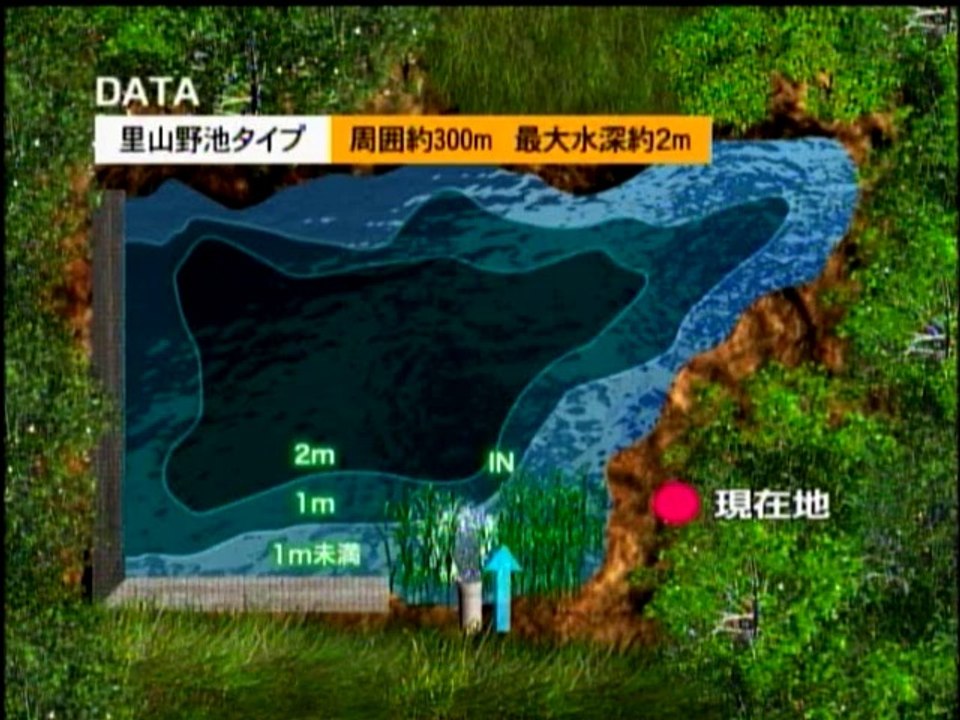 カナモスタイル②