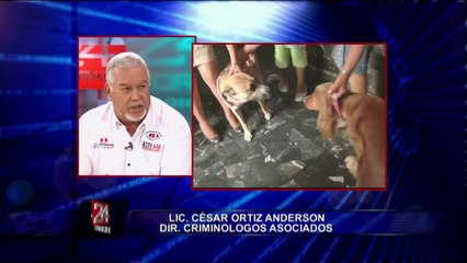 Sepa cómo evitar robos en su vivienda durante Semana Santa