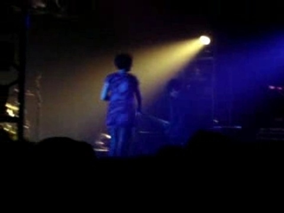 YYY Honeybear Live