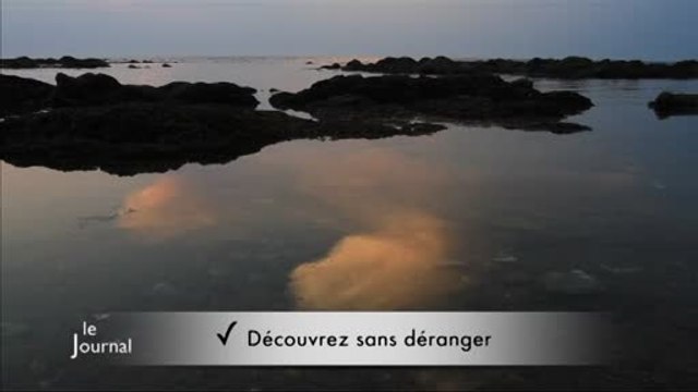 Sensibiliser les sportifs sur la protection du littoral