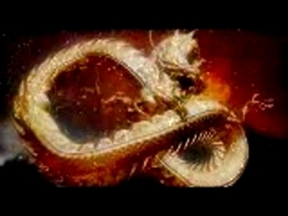 TONY JAA - Lamyai Comercial Large