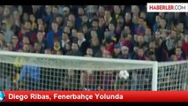 Diego Ribas, Fenerbahçe Yolunda