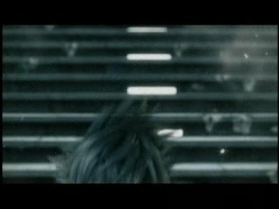 Final fantasy XIII versus AMV