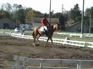 Le dressage de Tartas 2006