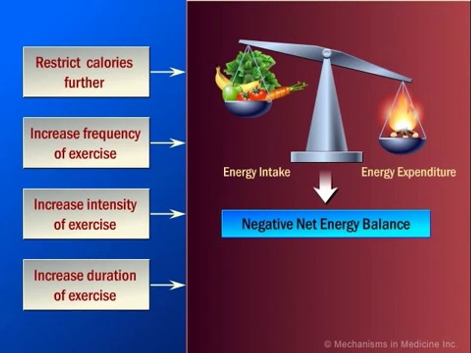 Nathan Carr Fullerton - Exercise and Weight Loss