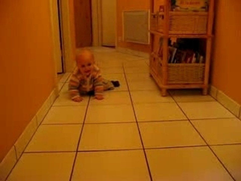 Petit crabe !