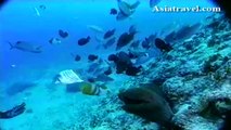 Scuba Diving in Guam by Asiatravel.com