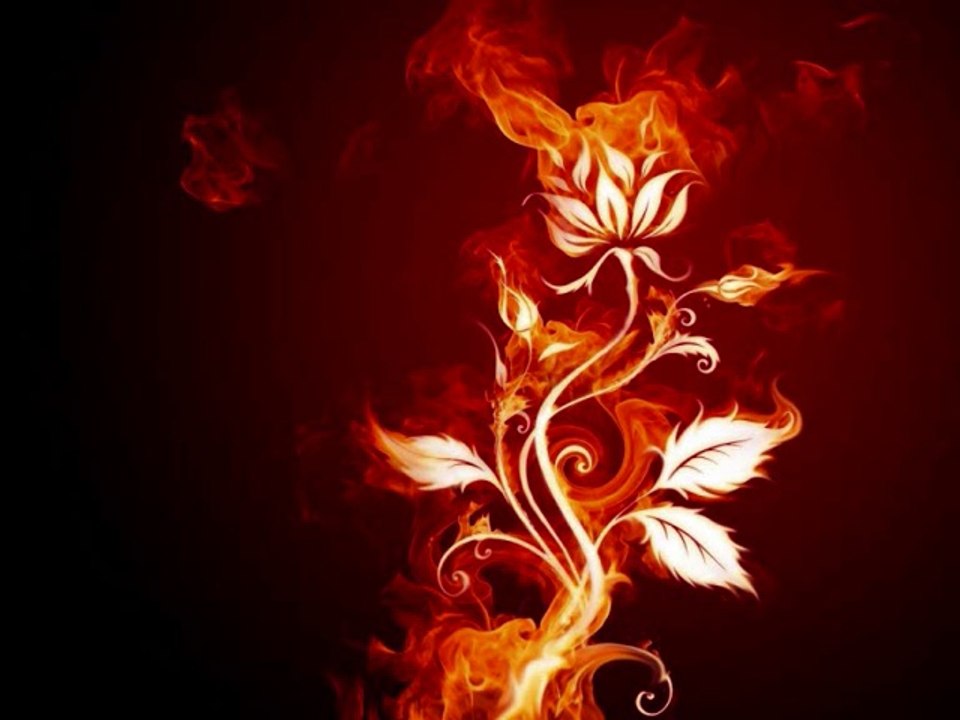 Passion Una Rosa in Fuoco