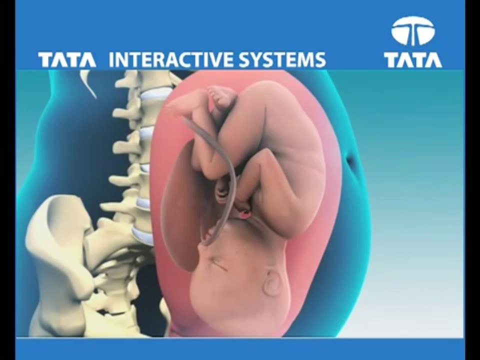 Role Of Animation & Virtual Worlds In eLearning - YouTube[via torchbrowser.com]