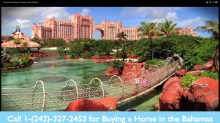 Real Estate Agent in the Bahamas
