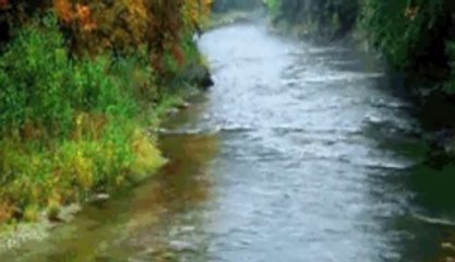 SEN ÜZÜLME..GÜLŞEN SARIOĞLU  VİDEOSU