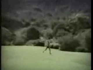 Quello che vogliono gli uomini