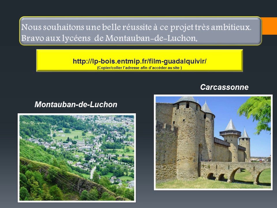 La classe de 3ème du lycée du bois fait son cinéma avec le roman Guadalquivir.. [Enregistrement automatique]