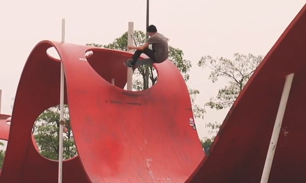 Etnies - Excess Baggage Axel Cruysberghs - Skateboard