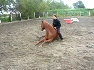 Sinai coucher debout