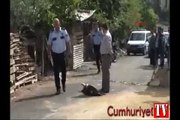 Polis memuru üstüne saldıran köpeği vurdu