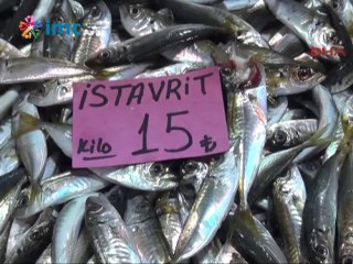 Av yasağı başladı