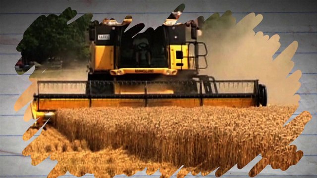 Biotechnologies: les organismes génétiquement modifiés