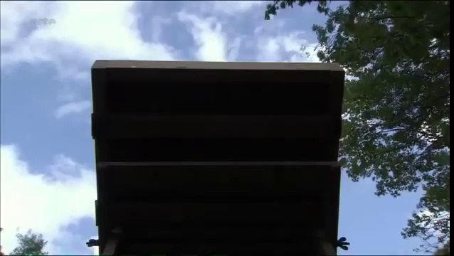 Les primitifs de la photographie