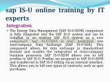 sap isu Online Training and Certification by SAP professionals