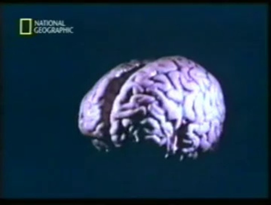 Creacion de falsos recuerdos