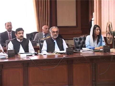 PM Ashraf chairs meeting of anti polio task force