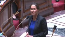 Ségolène Royal répond à la QAG de Geneviève Gosselin-Fleury au sujet du tarif électricité
