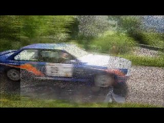 Damien PELLEGRIN - RALLYE ECUREUIL 2011.wmv
