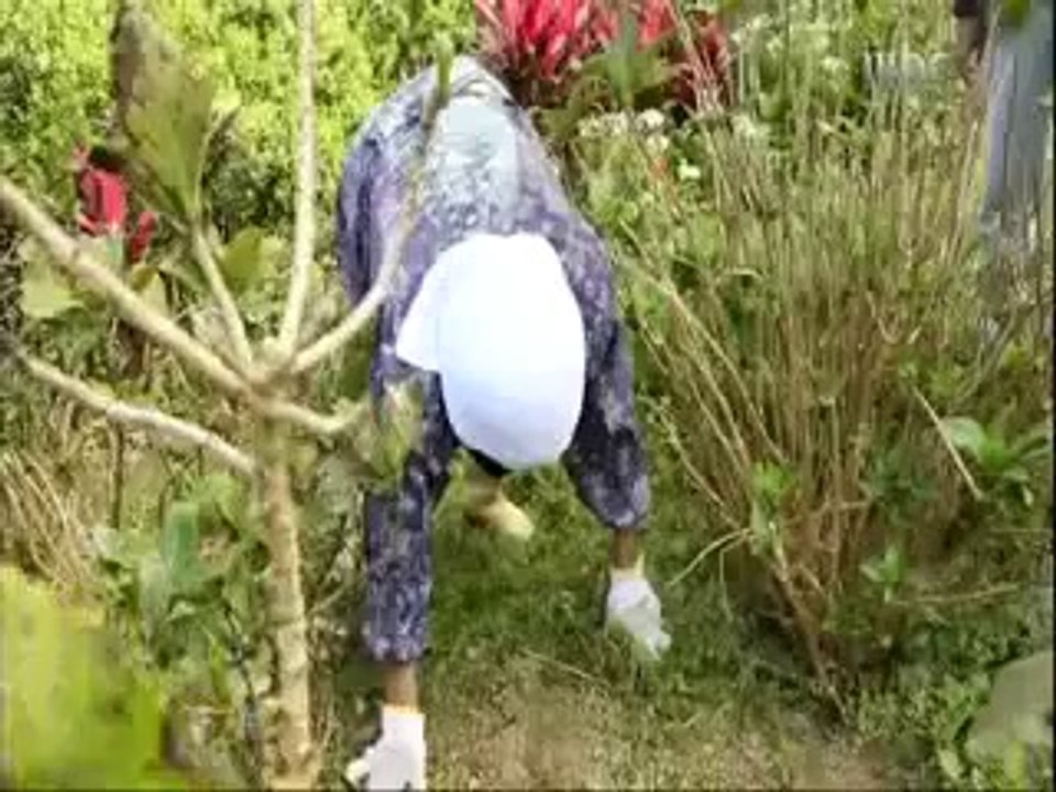 سن الشباب في اليابان يبدأ من ال 60 - خواطر