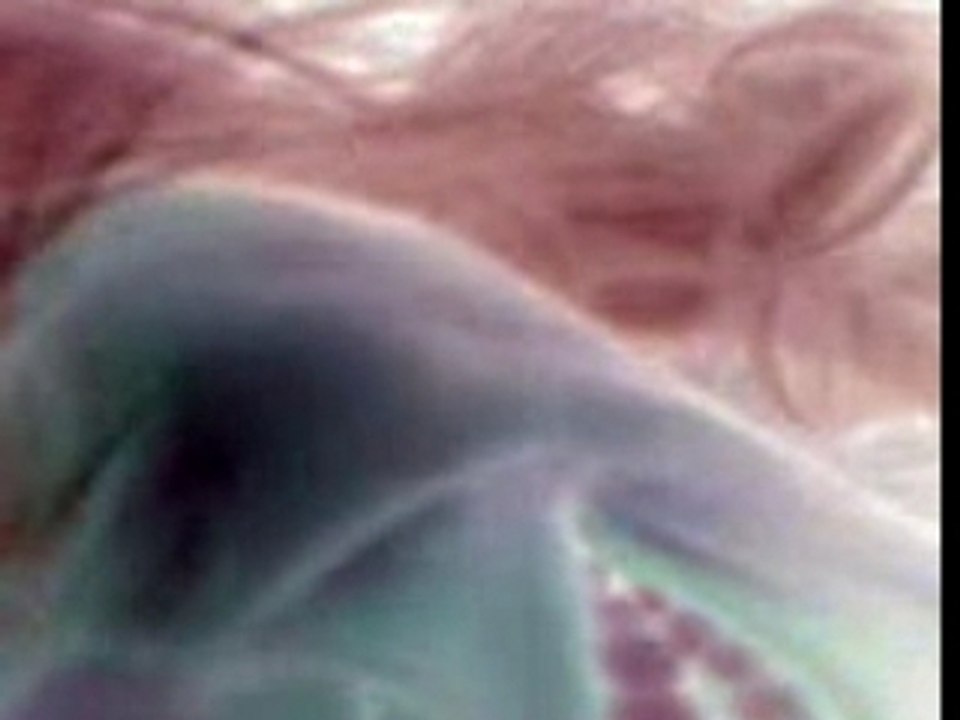 Un petit cracage de notre ami