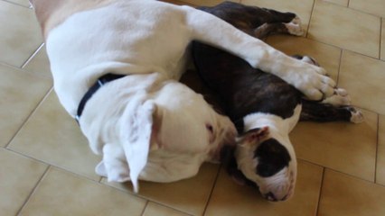 Arkos et Oxy 15/04/14