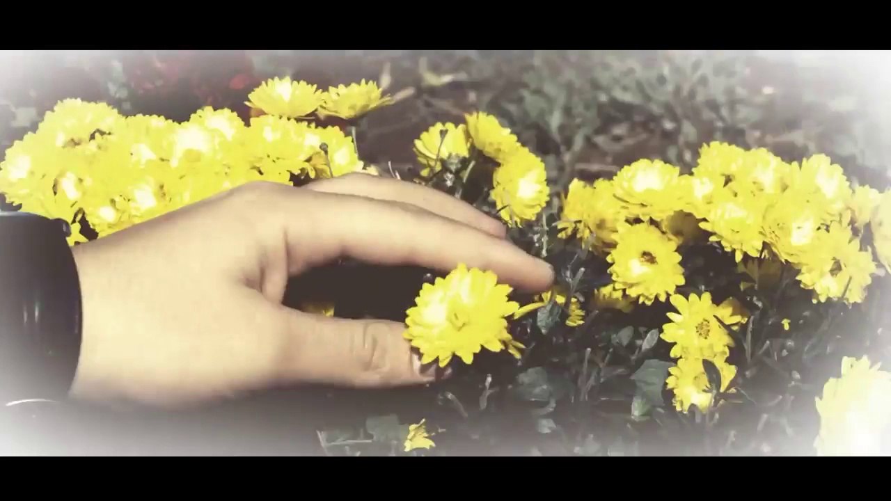 Aytac Vidadiqızı  Həyat gözəl