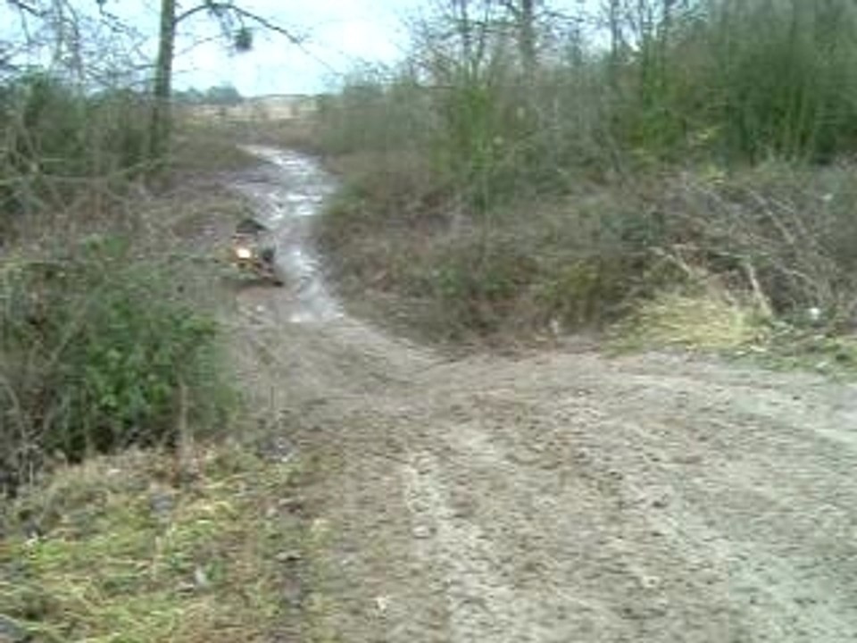 raptor 350 ali