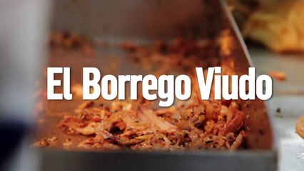 El Borrego Viudo : Tacología (promo)