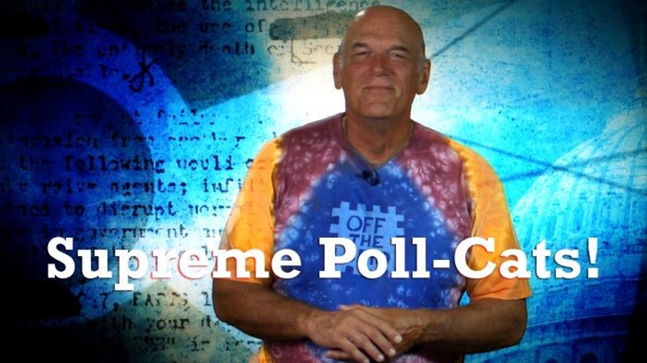 Supreme Poll-Cats!