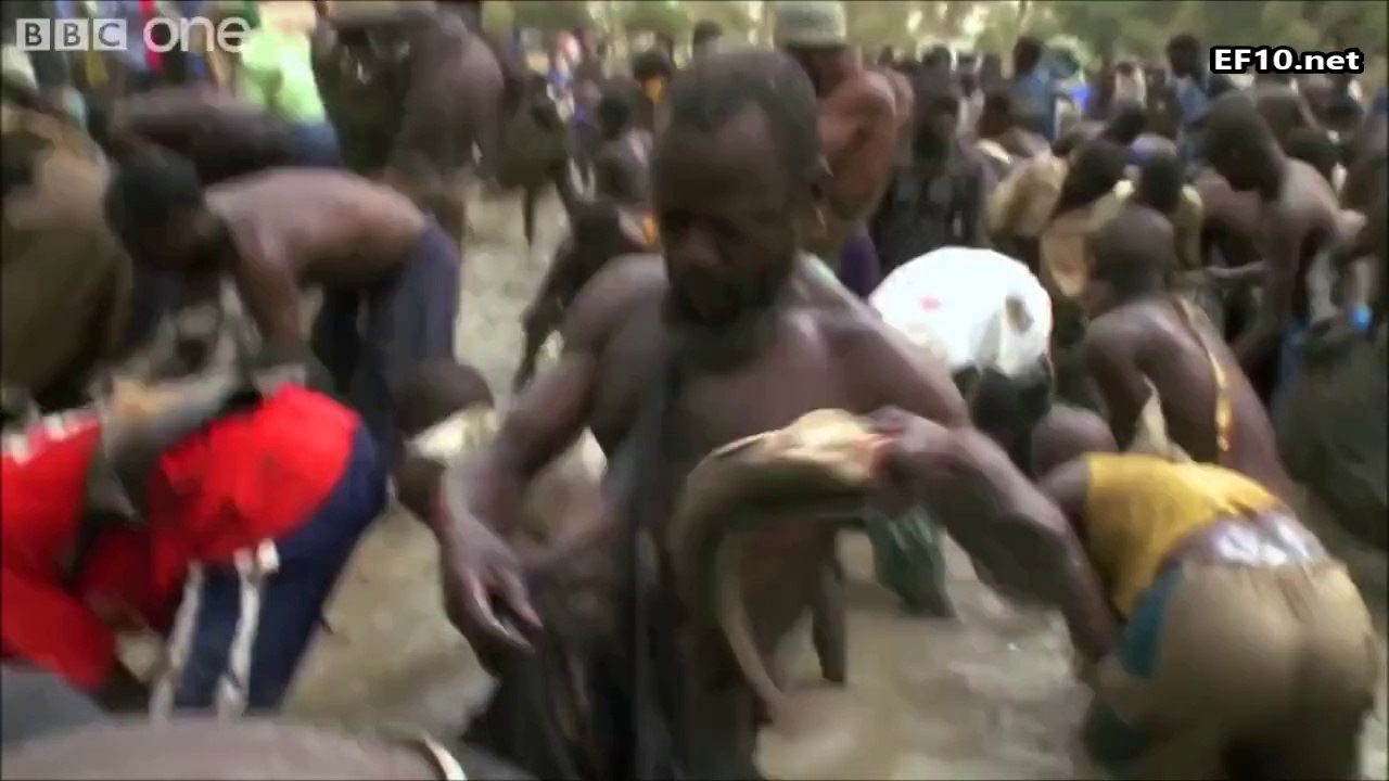 Afrika'da Balık Sezonu Açılışı