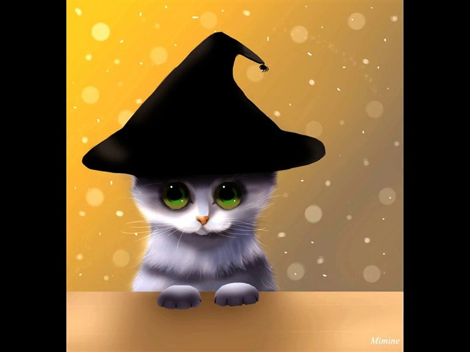 Animation chaton
