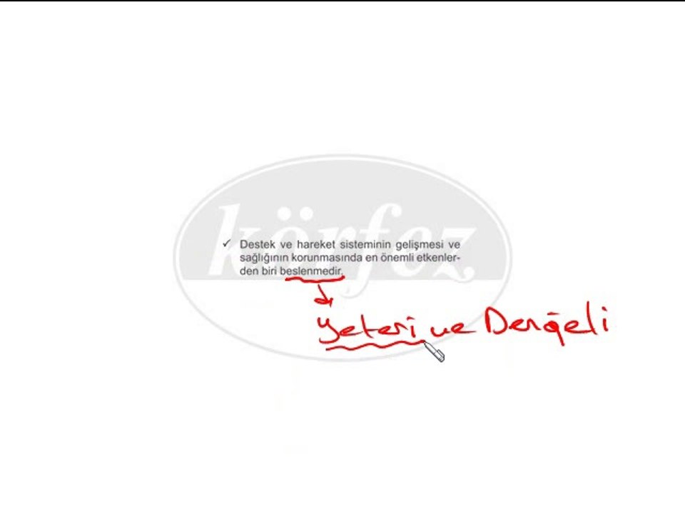 6. Sınıf Destek ve Hareket Sisteminin Sağlığı Video Ders-4