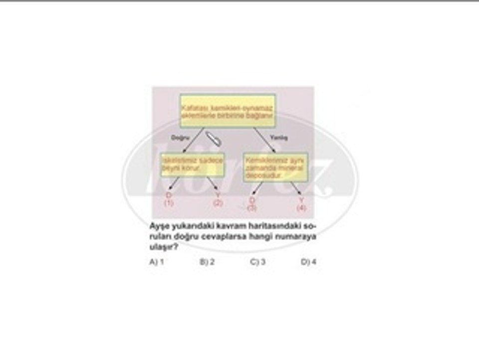 6. Sınıf Destek ve Hareket Sistemi Çözümlü Örnek