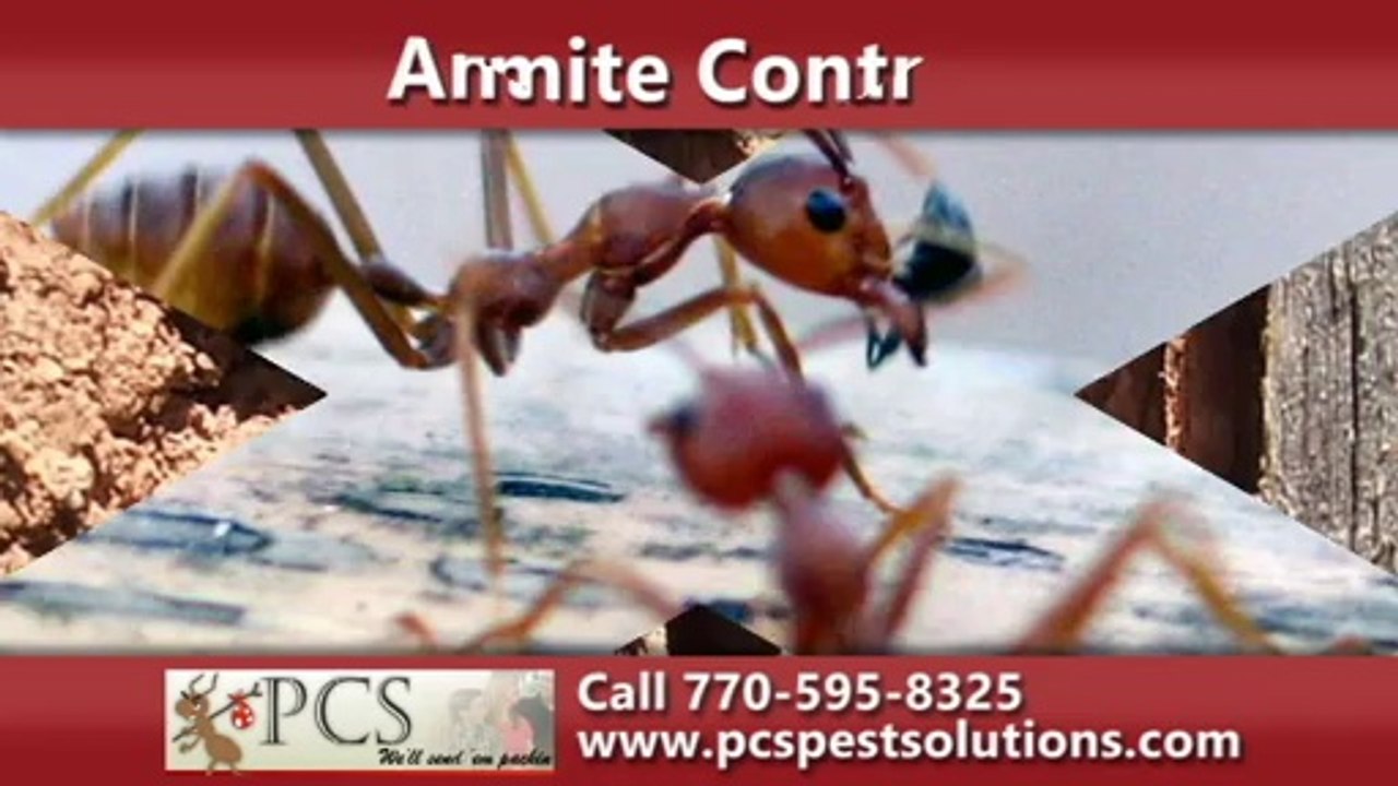 Rodent Control Woodstock, GA | PCS Pest Control Solutions