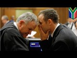 Oscar Pistorius trial: Defense advocate Roux grills former cop Schoombie van Rensburg