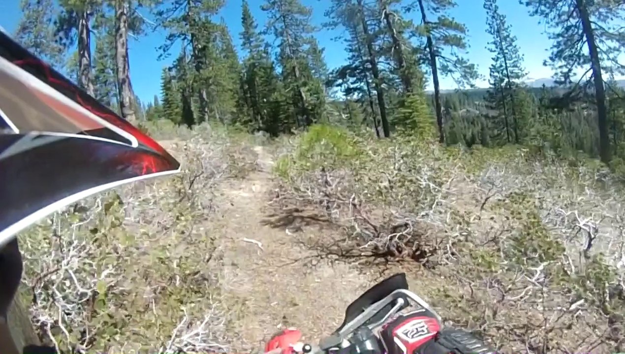 found a new trail thru and old flume and hill climb into the woods