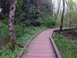 Tualatin Hills Nature Park 9